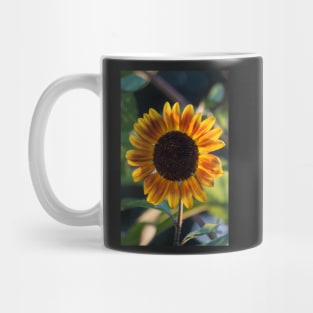 Garden Sunset Mug